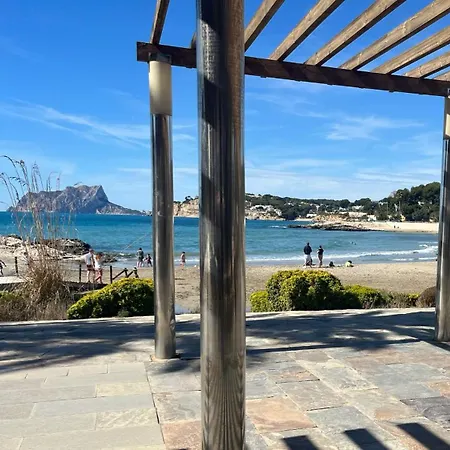 Calamora-moraira * モライラ