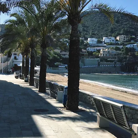 Calamora-moraira *