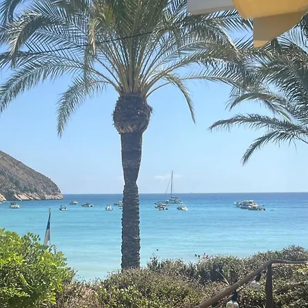 Calamora-moraira Daire *