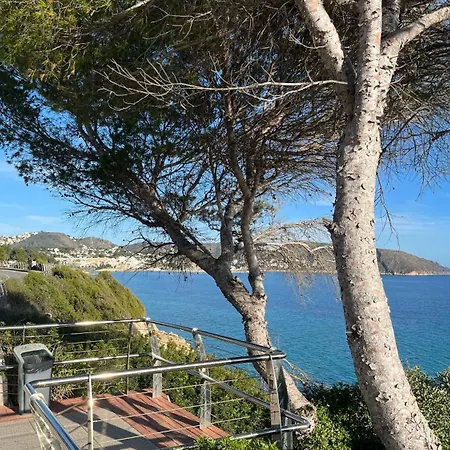 Calamora-moraira Daire