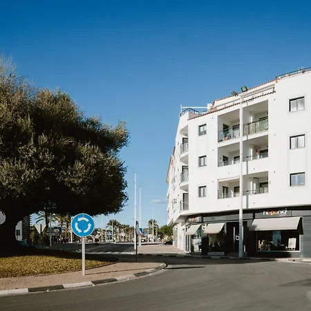 Calamora-moraira *