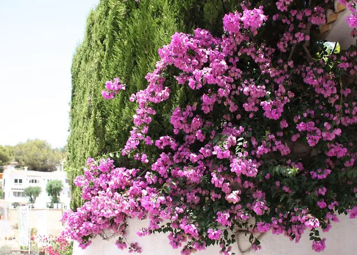 Apartmán Calamora-moraira *