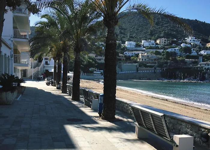Calamora-moraira *