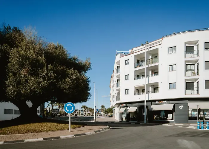 Calamora-moraira *